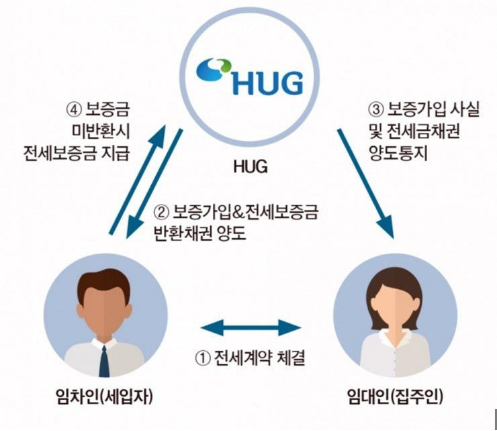 HUG 전세보증보험 가입방법 및 조건 7가지 완벽 가이드