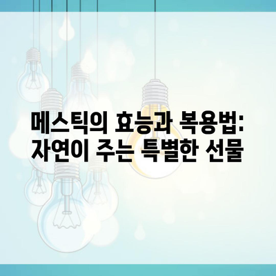 메스틱의 효능과 복용법: 자연이 주는 특별한 선물