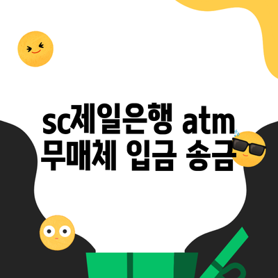 sc제일은행 atm 무매체 입금 송금