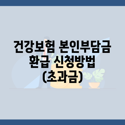 건강보험 본인부담금 환급 신청방법 (초과금)