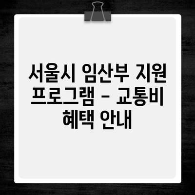 서울시 임산부 지원 프로그램 – 교통비 혜택 안내