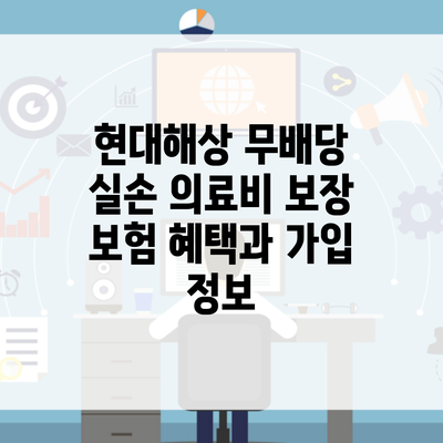 현대해상 무배당 실손 의료비 보장 보험 혜택과 가입 정보