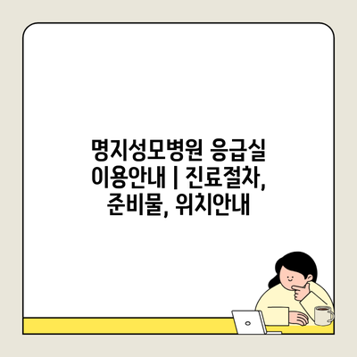 명지성모병원 응급실 이용안내 | 진료절차, 준비물, 위치안내