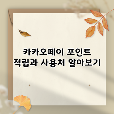 카카오페이 포인트 적립과 사용처 알아보기