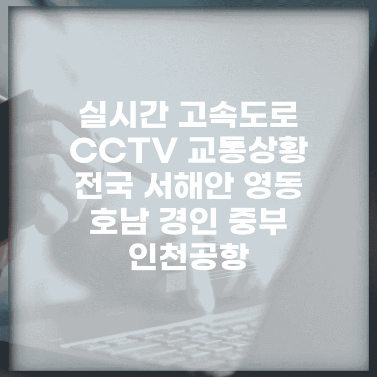 실시간 고속도로 CCTV 교통상황 전국 서해안 영동 호남 경인 중부 인천공항