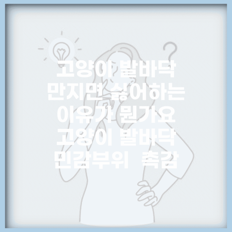 고양이 발바닥 만지면 싫어하는 이유가 뭔가요 | 고양이 발바닥 | 민감부위 | 촉감