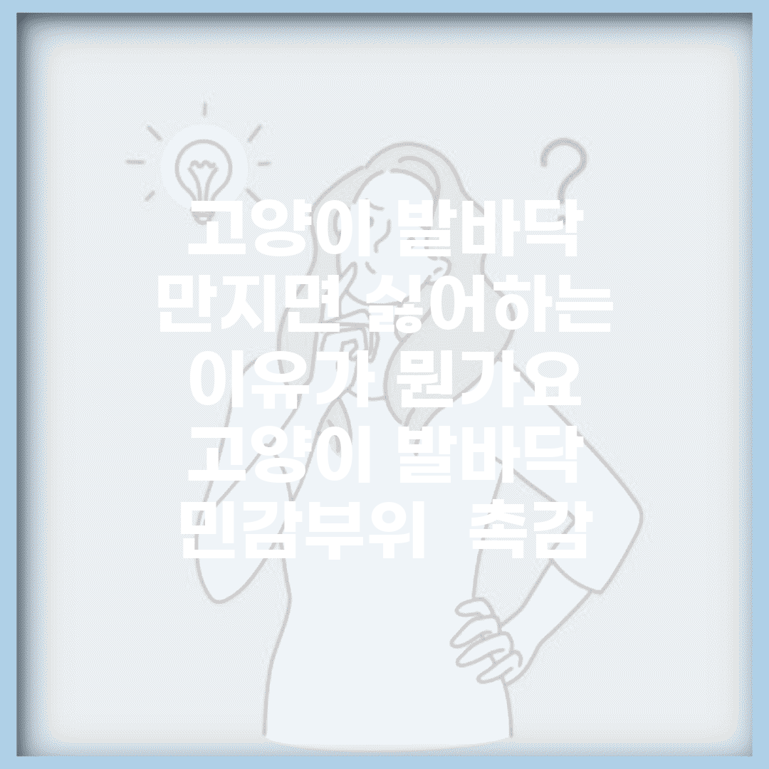 고양이 발바닥 만지면 싫어하는 이유가 뭔가요 | 고양이 발바닥 | 민감부위 | 촉감