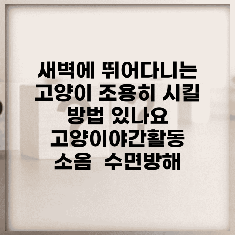 새벽에 뛰어다니는 고양이 조용히 시킬 방법 있나요 | 고양이야간활동 | 소음 | 수면방해