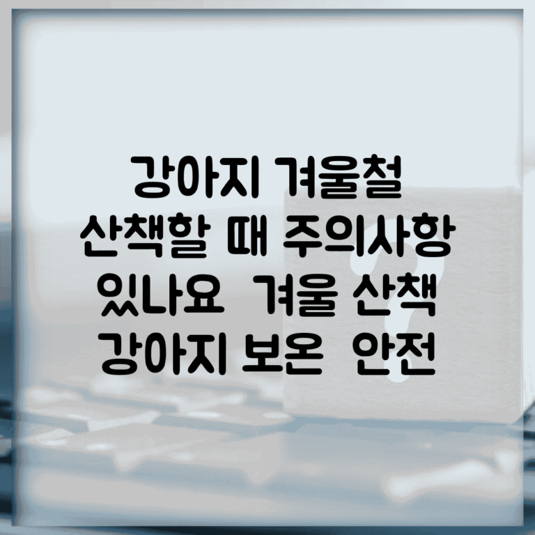강아지 겨울철 산책할 때 주의사항 있나요 | 겨울 산책 | 강아지 보온 | 안전