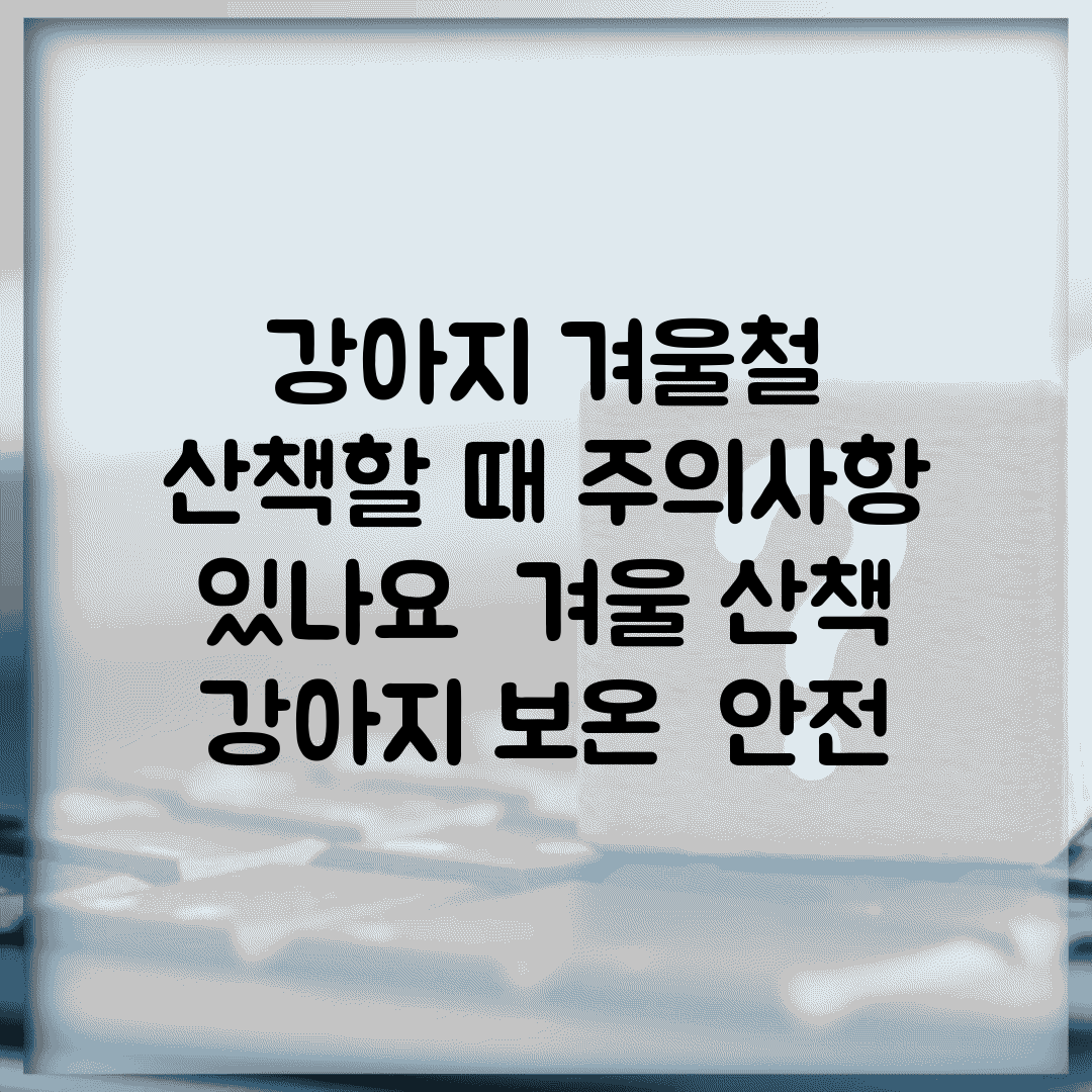 강아지 겨울철 산책할 때 주의사항 있나요 | 겨울 산책 | 강아지 보온 | 안전