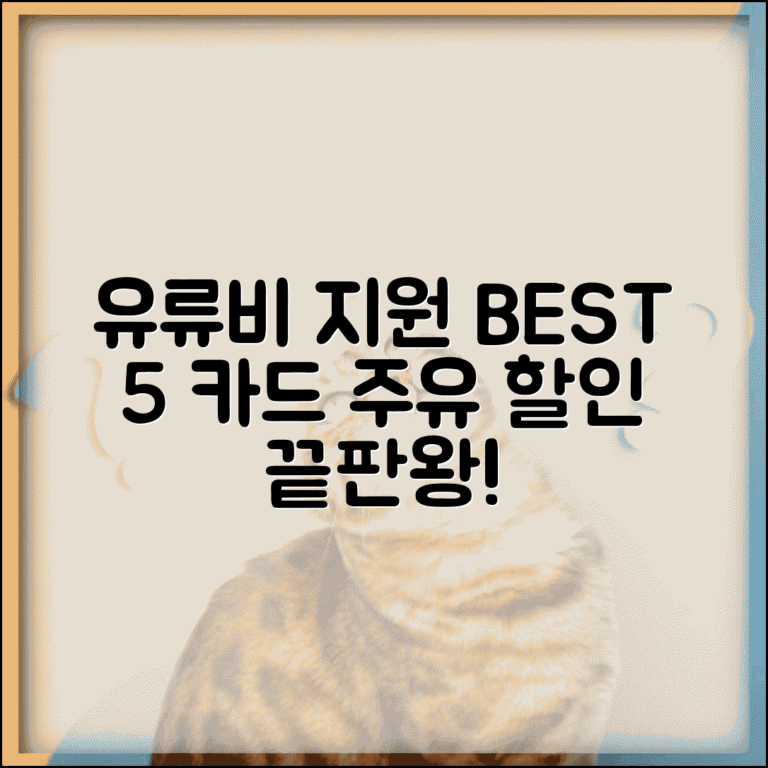 유류비 지원 카드 추천 BEST 5 | 주유 할인 신용카드 비교 | 리터당 할인율 포인트 적립률 총정리