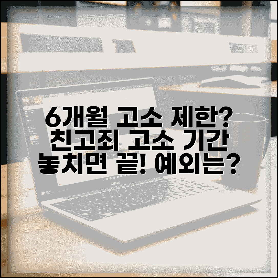 고소 기간 6개월 제한 | 친고죄 고소 기간 경과시 고소권 소멸 예외