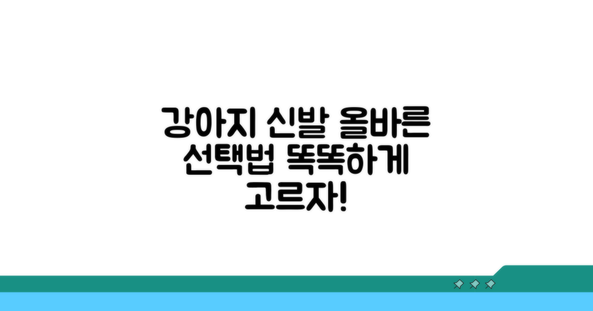 올바른 강아지 신발 선택법
