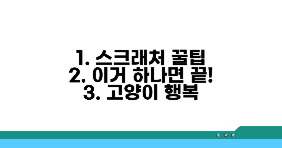 스크래처 활용법, 이것만 알면 끝