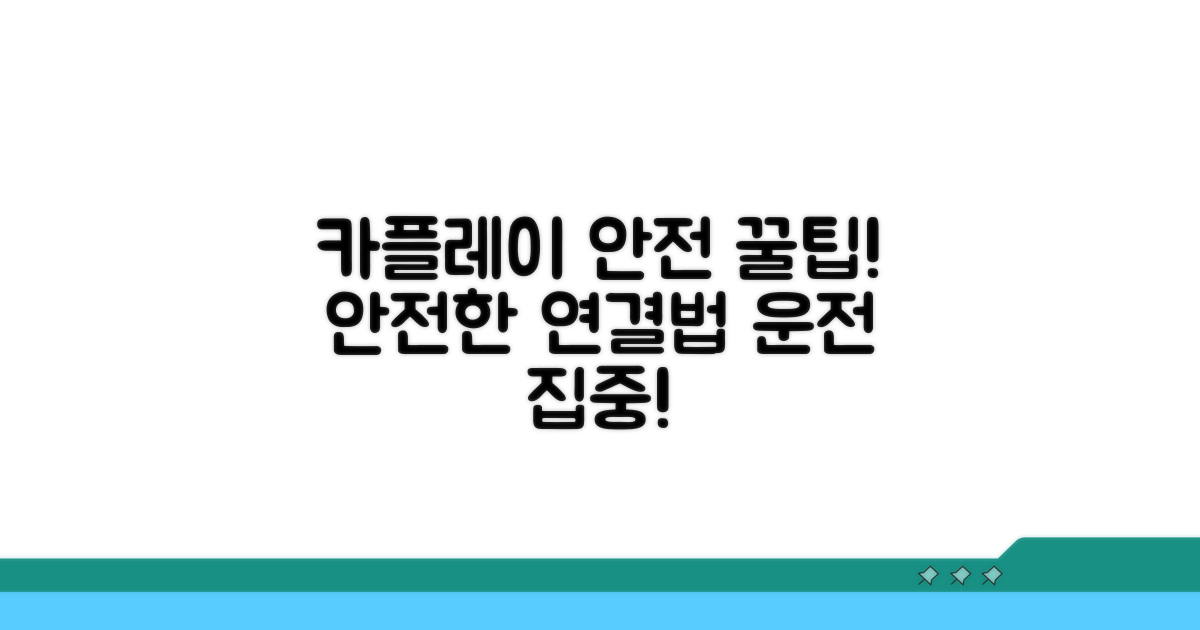 안전한 카플레이 사용법