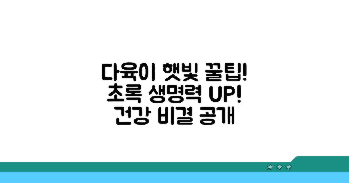 다육이 건강 지키는 햇빛 관리
