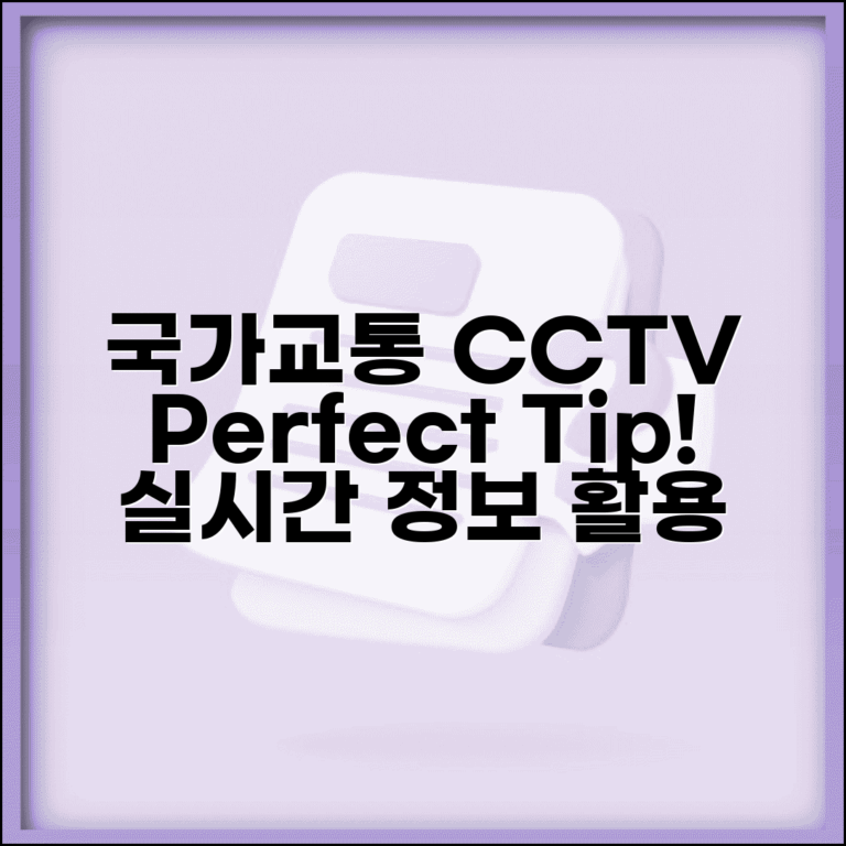 국가교통정보센터 CCTV | 국가 교통정보 CCTV 완벽 활용법