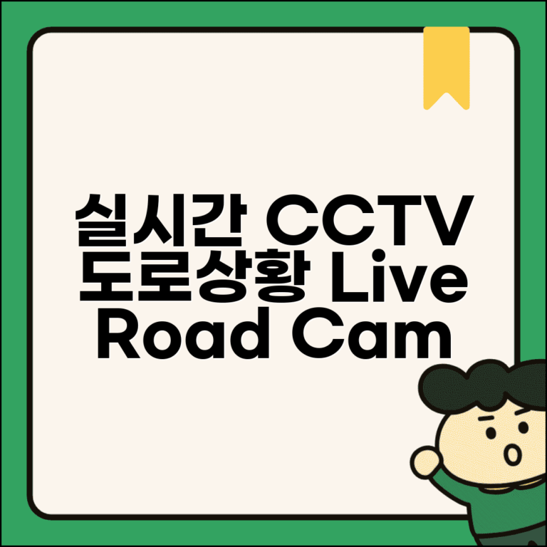 실시간 cctv 도로상황 | 고속도로 국도 실시간 CCTV 보기