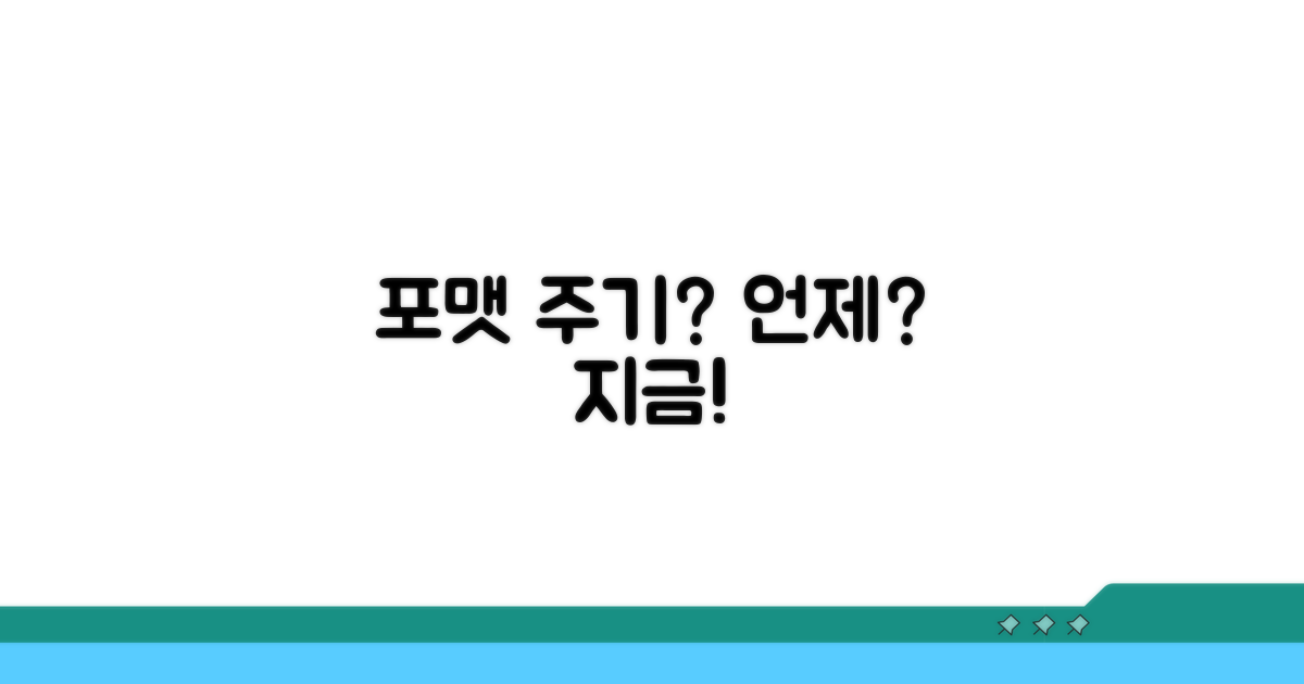 포맷 주기, 언제 해야 할까?
