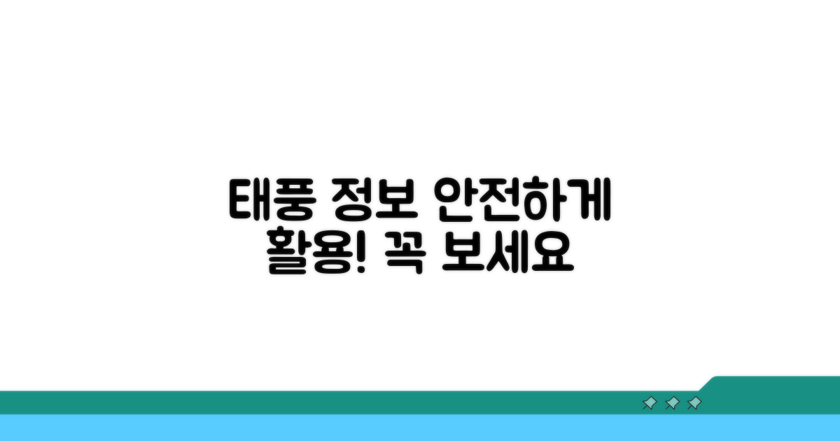 안전한 태풍 정보 활용팁