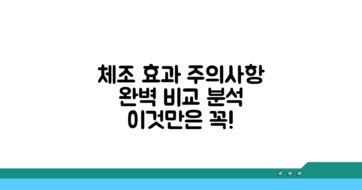 체조별 효과와 주의사항 완벽 비교