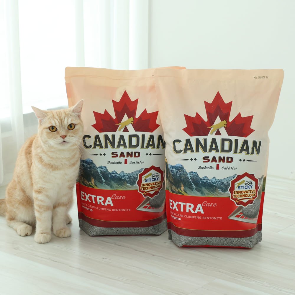 캐네디언샌드 고양이모래 벤토나이트 먼지없는 모래 8kg, 2개 상세 이미지 1