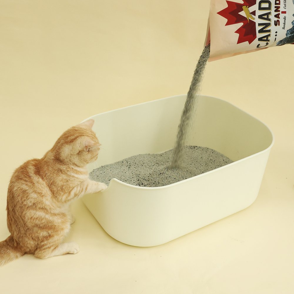 캐네디언샌드 고양이모래 벤토나이트 먼지없는 모래 8kg, 2개 상세 이미지 2