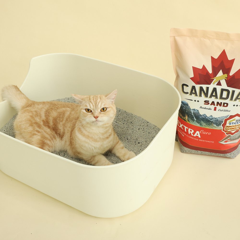 캐네디언샌드 고양이모래 벤토나이트 먼지없는 모래 8kg, 2개 상세 이미지 1