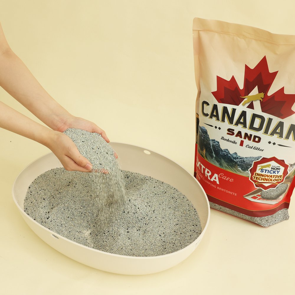 캐네디언샌드 고양이모래 벤토나이트 먼지없는 모래 8kg, 2개 상세 이미지 2