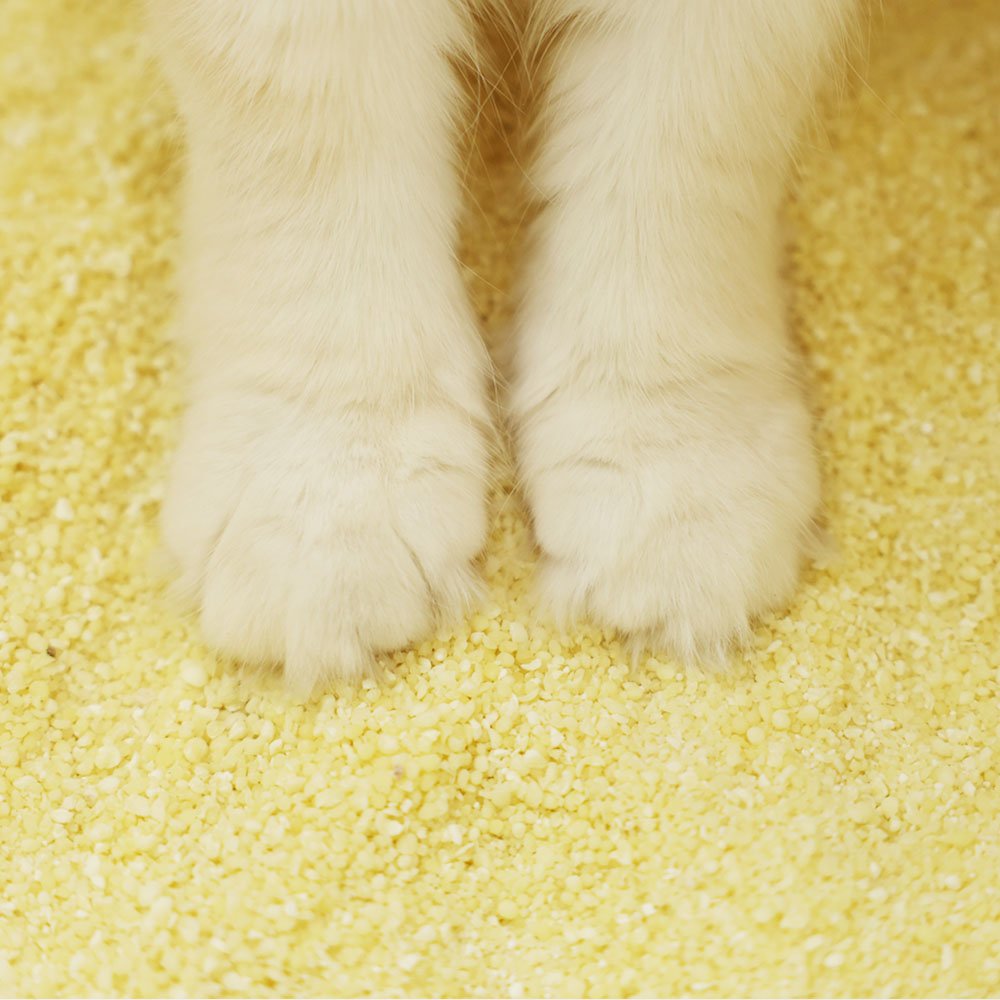 아메리칸솔루션 최고급 브라질산 카사바 먼지없는 고양이모래 옵티멈, 6kg, 2개 상세 이미지 2