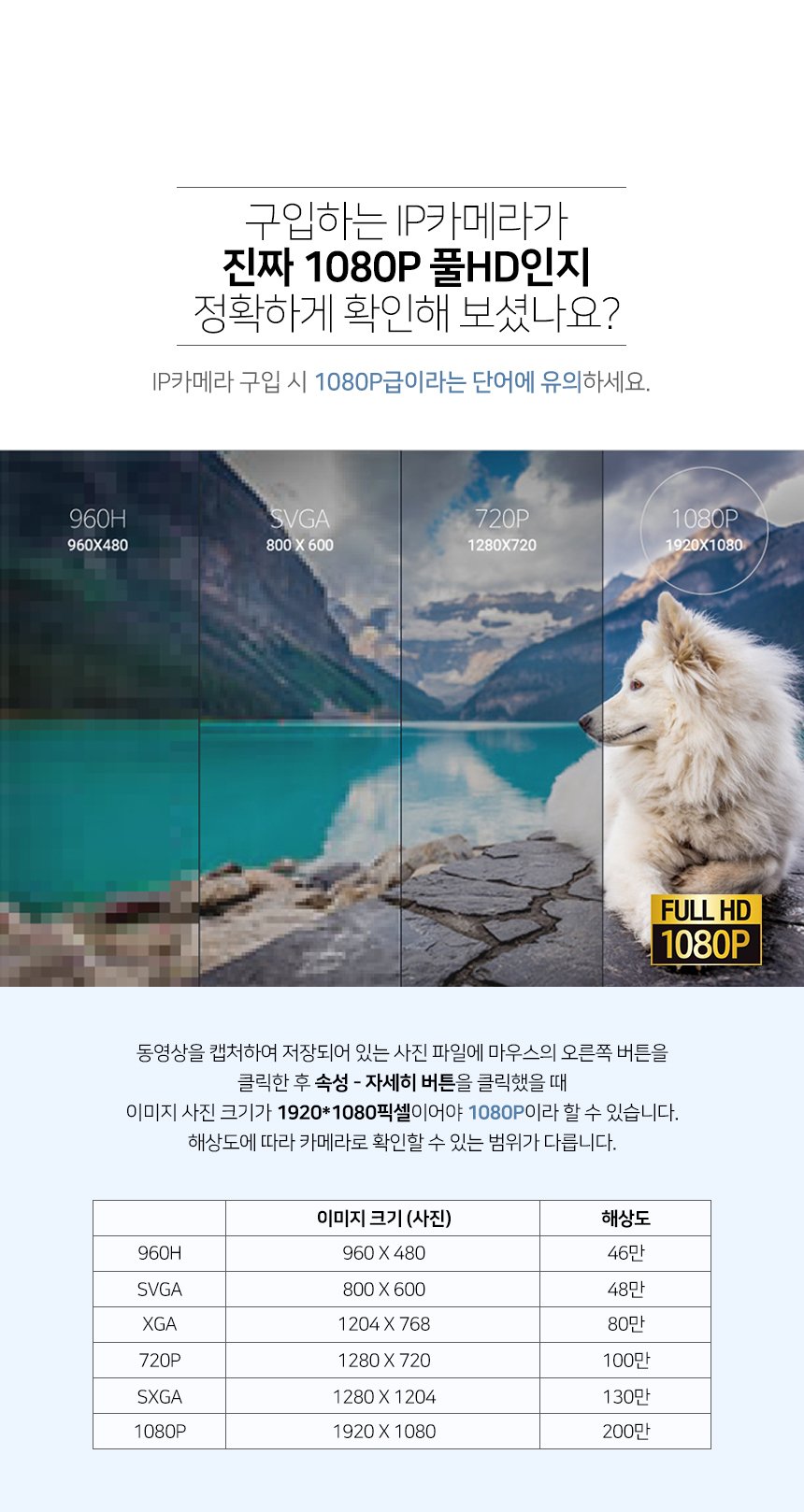 글로벌아이넷 로보뷰G 홈 IP 카메라 CCTV 3.6mm 200만화소 2개 상세 이미지 1